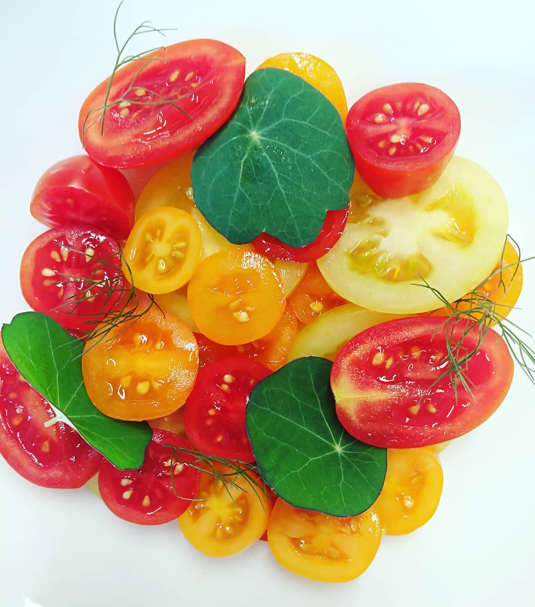 Overhead tomato salad with colorful tomatoes.